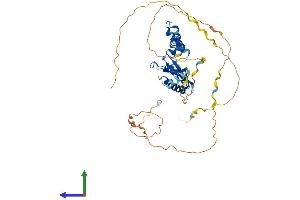 Protein Structure (PS) image for KH Domain Containing, RNA Binding, Signal Transduction Associated 1 (KHDRBS1) (AA 1-443) protein (His tag) (ABIN7554273)