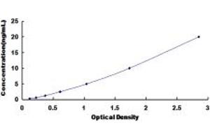 Typical standard curve (EPSTI1 ELISA 试剂盒)