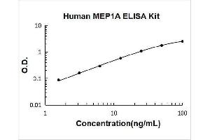 Meprin A, alpha (PABA Peptide Hydrolase) (MEP1A) ELISA Kit