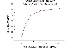 Immobilized SARS S1 protein, His Tag (ABIN6952622) at 2 μg/mL (100 μL/well) can bind Human ACE2, Fc Tag (ABIN6952465) with a linear range of 0.