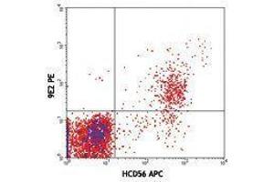 Flow Cytometry (FACS) image for anti-Natural Cytotoxicity Triggering Receptor 1 (NCR1) antibody (PE) (ABIN2663378) (NCR1 抗体  (PE))