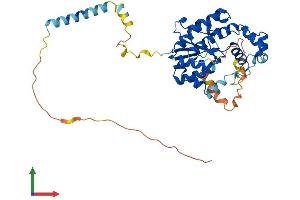 Protein Structure (PS) image for Uronyl-2-Sulfotransferase (UST) (AA 1-406) protein (His tag) (ABIN7545023)
