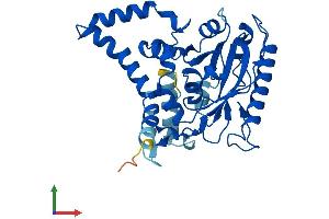 AlphaFold protein structure predicition of Mouse Recombinant Dgat2l6 Protein, UniprotID A2ADU8