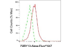 Flow cytometric analysis of P2RY13 expression in HT- cells using P2RY13 antibody (ABIN7800070), 1:2,000).
