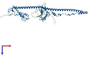 TRIM35 Protein (AA 1-493) (His tag)