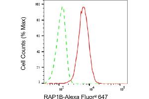 Flow cytometric analysis of RAP1B expression in HepG2 cells using RAP1B antibody (ABIN7800134), 1:2,000).