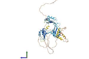Protein Structure (PS) image for CUGBP, Elav-Like Family Member 2 (CELF2) (AA 1-508) protein (His tag) (ABIN7565255)