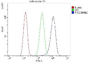 Flow Cytometry analysis of A549 cells using anti-PKD2 antibody (ABIN7602539). (PKD2 抗体  (AA 829-893))