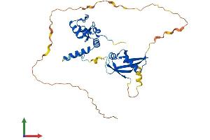 Protein Structure (PS) image for Polycomb Group Ring Finger 2 (PCGF2) (AA 1-342) protein (His tag) (ABIN7562985)