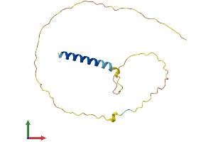 Protein Structure (PS) image for Cell Cycle Exit and Neuronal Differentiation 1 (CEND1) (AA 1-149) protein (His tag) (ABIN7553278)