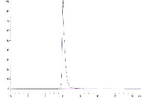 Size-exclusion chromatography-High Pressure Liquid Chromatography (SEC-HPLC) image for Interleukin 3 Receptor, alpha (IL3RA) (AA 19-305) protein (Fc Tag) (ABIN7274946)