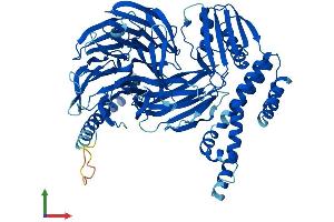 AlphaFold protein structure predicition of Human Recombinant BBS7 Protein, UniprotID Q8IWZ6