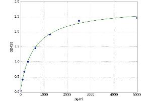 Neuropeptide S (NPS) ELISA Kit