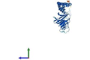 Protein Structure (PS) image for B-Box and SPRY Domain Containing (BSPRY) (AA 1-402) protein (His tag) (ABIN7552776)