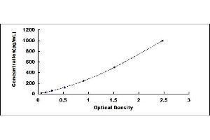 Typical standard curve (RNASE6 ELISA 试剂盒)