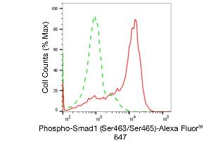 Flow cytometric analysis of Phospho-Smad1 (Ser463/Ser465) expression in HAP-1 cells using Phospho-Smad1 (Ser463/Ser465) antibody (ABIN7800368), 1:2,000).