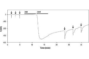 MitTx Toxin (α and β subunits, at a stoichiometry of 1:1) activates ASIC1a channels heterologously expressed in Xenopus oocytes.