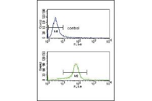 Flow Cytometry (FACS) image for anti-Calcium Channel, Voltage-Dependent, alpha 2/delta Subunit 1 (CACNA2D1) (AA 47-76), (N-Term) antibody (ABIN652644)