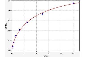Typical standard curve (STX1A ELISA 试剂盒)