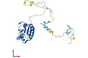 AlphaFold protein structure predicition of Mouse Recombinant Ciapin1 Protein, UniprotID Q8WTY4