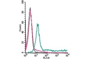 Cell surface detection of ADORA2A in live intact human Jurkat T-cell leukemia cells: (black line) Cells. (Adenosine A2a Receptor 抗体  (2nd Extracellular Loop))