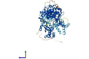 Protein Structure (PS) image for Acyl-CoA Synthetase Bubblegum Family Member 1 (ACSBG1) (AA 1-724) protein (His tag) (ABIN7551852)