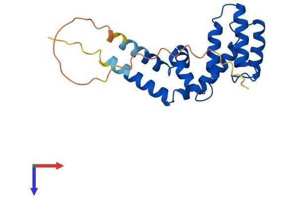 RGS16 Protein (AA 1-202) (His tag)