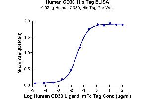 Immobilized Human CD30, His Tag at 0. (TNFRSF8 Protein (AA 19-379) (His-Avi Tag))