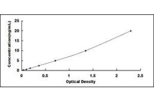 Typical standard curve (PAX9 ELISA 试剂盒)