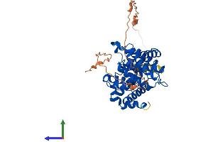 Protein Structure (PS) image for Cyclin B2 (CCNB2) (AA 1-398) protein (His tag) (ABIN7553207)