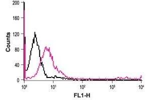 Cell surface detection of Orai1 in live Jurkat (human acute T cell leukaemia) cells: (black line) Unstained cells.