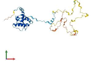 Protein Structure (PS) image for Calponin 1 (CNN1) (AA 1-297) protein (His tag) (ABIN7546644)