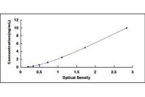 Typical standard curve (IREB2 ELISA 试剂盒)