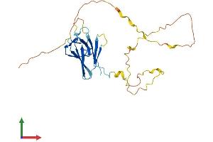 Protein Structure (PS) image for Transcription Factor 19 (TCF19) (AA 1-263) protein (His tag) (ABIN7560339)