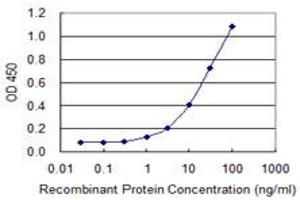 Detection limit for recombinant GST tagged CLDN14 is 0. (CLDN14 抗体  (AA 29-81))