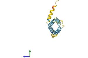 Protein Structure (PS) image for Proteolipid Protein 2 (PLP2) (AA 1-152) protein (His tag) (ABIN7556222)