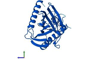 Protein Structure (PS) image for StAR-Related Lipid Transfer (START) Domain Containing 5 (STARD5) (AA 1-213) protein (His tag) (ABIN7546419)