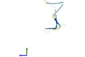 AlphaFold protein structure predicition of Human Recombinant PIBF1 Protein, UniprotID Q8WXW3