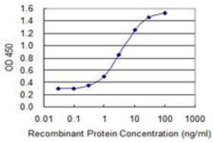 Detection limit for recombinant GST tagged MAGEB1 is 0. (MAGEB1 抗体  (AA 86-195))