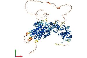 AlphaFold protein structure predicition of Mouse Recombinant Bbs12 Protein, UniprotID Q5SUD9