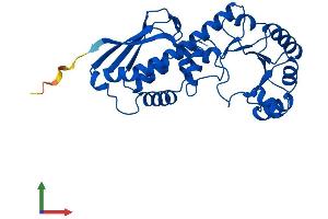 Protein Structure (PS) image for Quinolinate Phosphoribosyltransferase (QPRT) (AA 1-297) protein (His tag) (ABIN7549703)