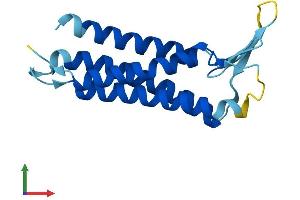 Protein Structure (PS) image for Peripheral Myelin Protein 22 (PMP22) (AA 1-160) protein (His tag) (ABIN7550875)