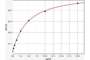 Typical standard curve (Fibrillin 3 ELISA 试剂盒)