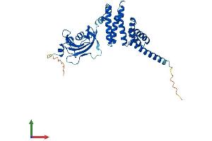 Protein Structure (PS) image for FK506 Binding Protein 6, 36kDa (FKBP6) (AA 1-327) protein (His tag) (ABIN7547759)