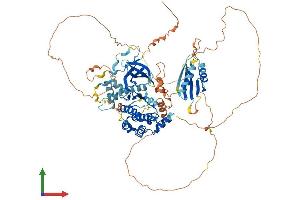 Protein Structure (PS) image for BR Serine/threonine Kinase 1 (BRSK1) (AA 1-778) protein (His tag) (ABIN7563828)