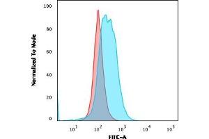 Flow Cytometric Analysis of PFA-fixed Ramos cells. (Recombinant CD86 抗体)