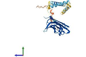 Protein Structure (PS) image for Tumor Necrosis Factor (Ligand) Superfamily, Member 11 (TNFSF11) (AA 1-316) protein (His tag) (ABIN7562288)