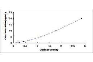 Typical standard curve (CC2D1A ELISA 试剂盒)