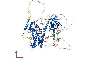 Protein Structure (PS) image for Pleckstrin Homology Domain Containing, Family G (With RhoGef Domain) Member 6 (PLEKHG6) (AA 1-787) protein (His tag) (ABIN7564685)