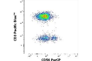 Flow cytometry multicolor surface staining of human lymphocytes stained using anti-human CD56 (LT56) PerCP antibody (10 μL reagent / 100 μL of peripheral whole blood) and anti-human CD3 (UCHT1) Pacific Blue antibody (4 μL reagent / 100 μL of peripheral whole blood). (CD56 抗体  (PerCP))
